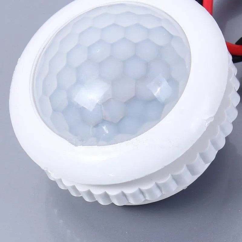 Motion Sensor Light 220V Automatic Sensor Smart Life Light Switch LED PIR Motion Sensor Detection Mini LED Sensitive Night Light