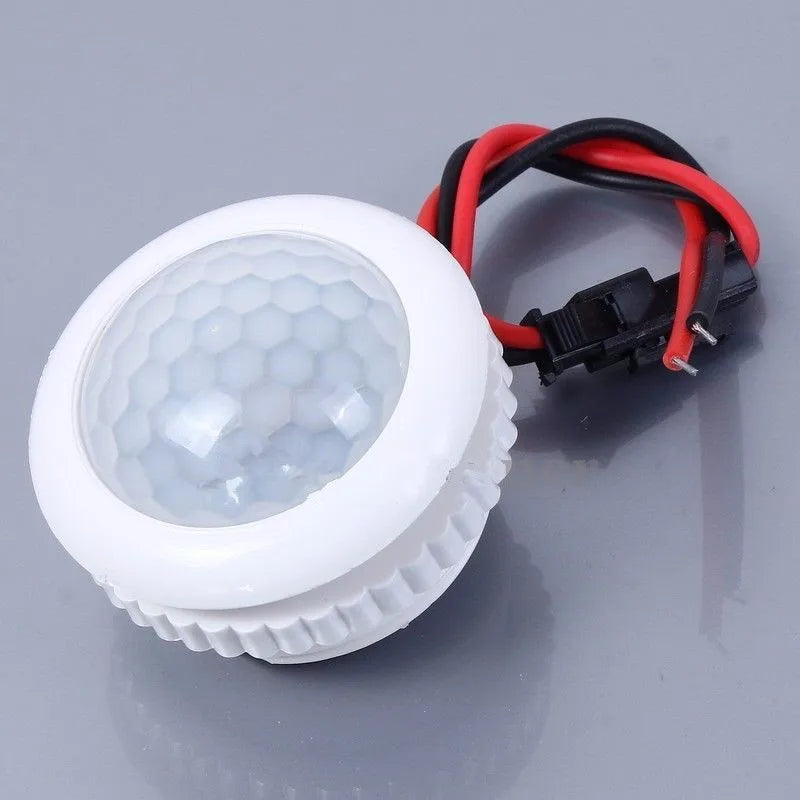 Motion Sensor Light 220V Automatic Sensor Smart Life Light Switch LED PIR Motion Sensor Detection Mini LED Sensitive Night Light